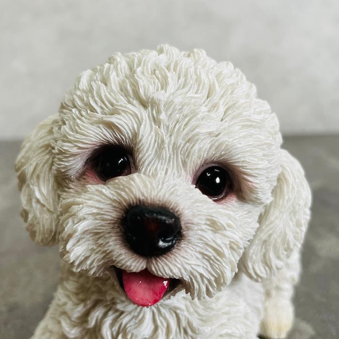 置物 犬 かわいい 動物 玄関 見上げるトイプードル 白 おしゃれ