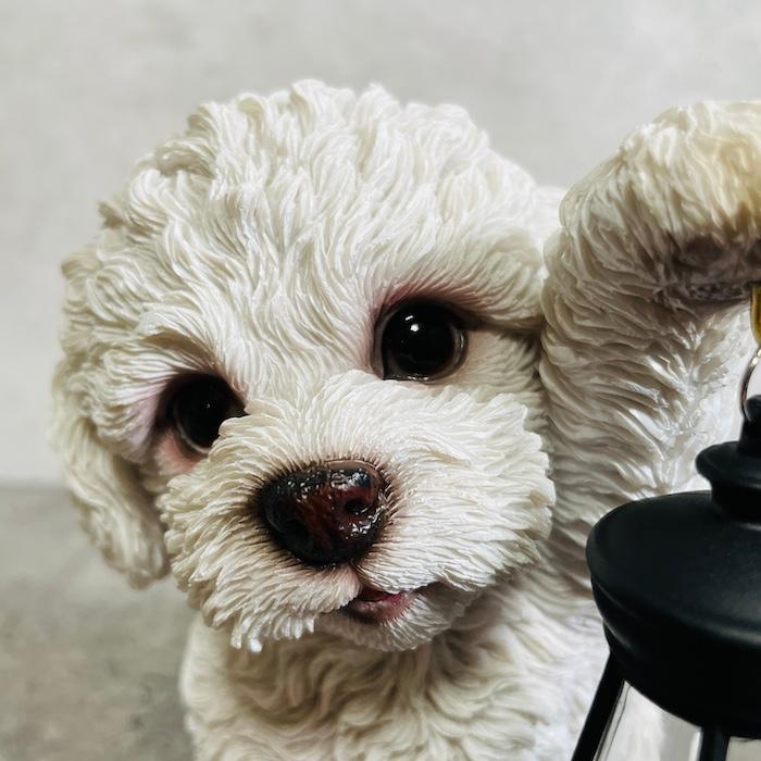置物 犬 かわいい 動物 玄関 ソーラーランプを左手で持ち上げるトイプードル ホワイト おしゃれ ガーデン woobia ウービア |  | 04