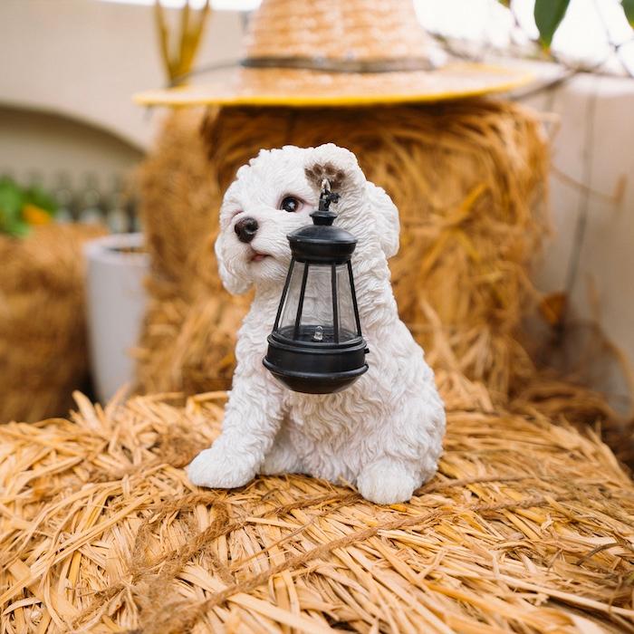 置物 犬 かわいい 動物 玄関 ソーラーランプを左手で持ち上げるトイプードル ホワイト おしゃれ ガーデン woobia ウービア |  | 08