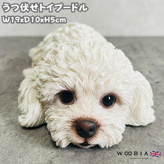 置物 犬 かわいい 動物 玄関 うつぶせトイプードル 白 おしゃれ