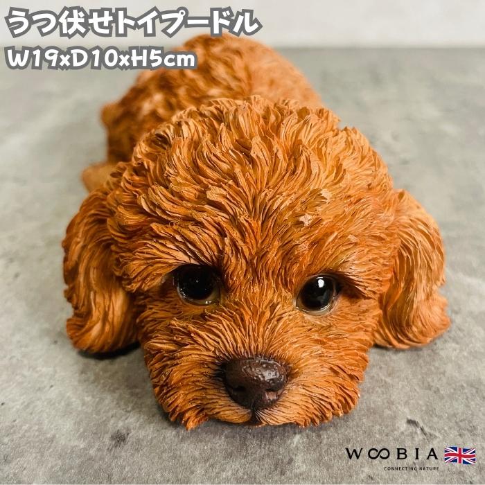 置物 犬 かわいい 動物 玄関 うつぶせトイプードル おしゃれ