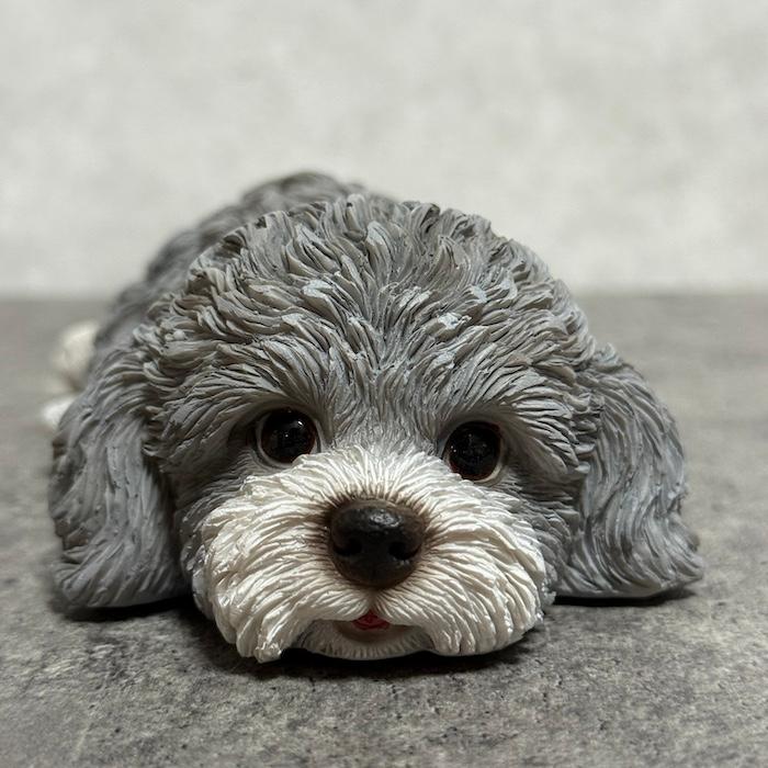 置物 犬 かわいい 動物 玄関 横幅19cm うつぶせトイプードル グレー
