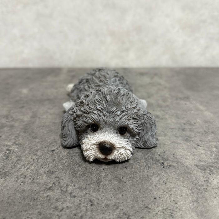 置物 犬 かわいい 動物 玄関 横幅19cm うつぶせトイプードル グレー