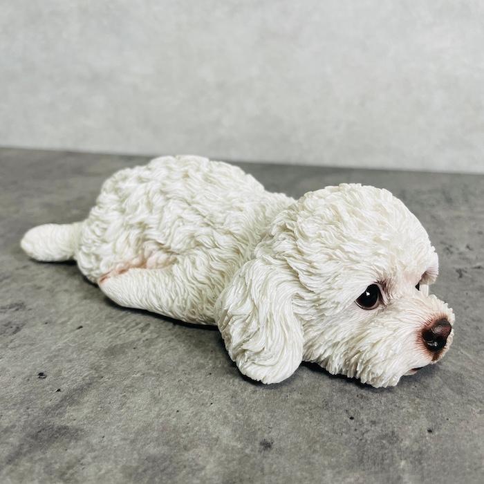 置物 犬 かわいい 動物 玄関 横幅19cm うつぶせトイプードル 白