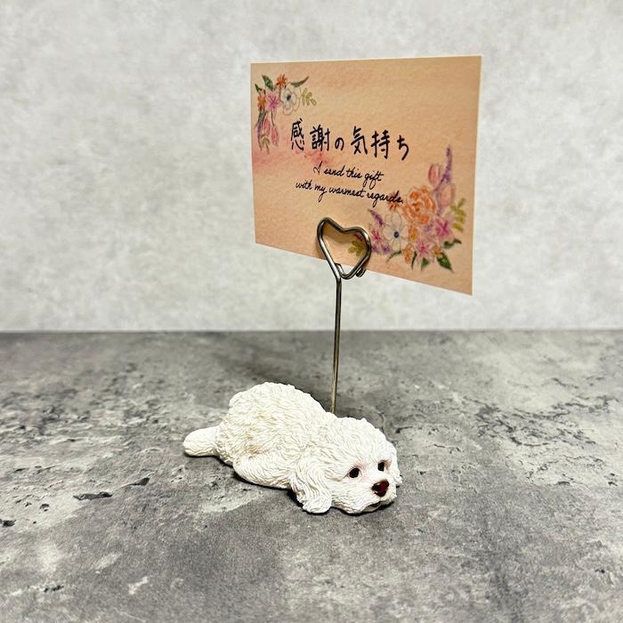 メモスタンド うつ伏せトイプードル 白 かわいいメモクリップ 置物 