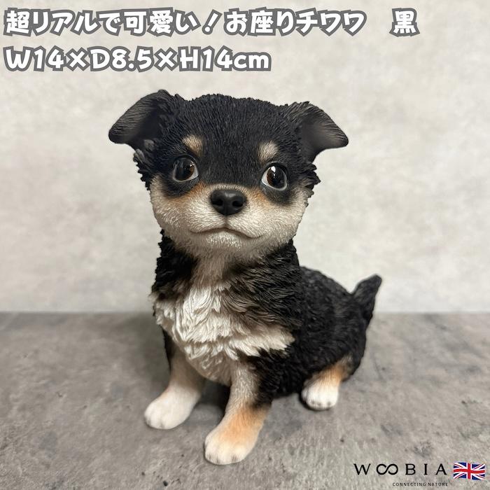 WOOBIA（ウービア） 置物 犬 お座りチワワ 黒 高さ14cm woobia リアル