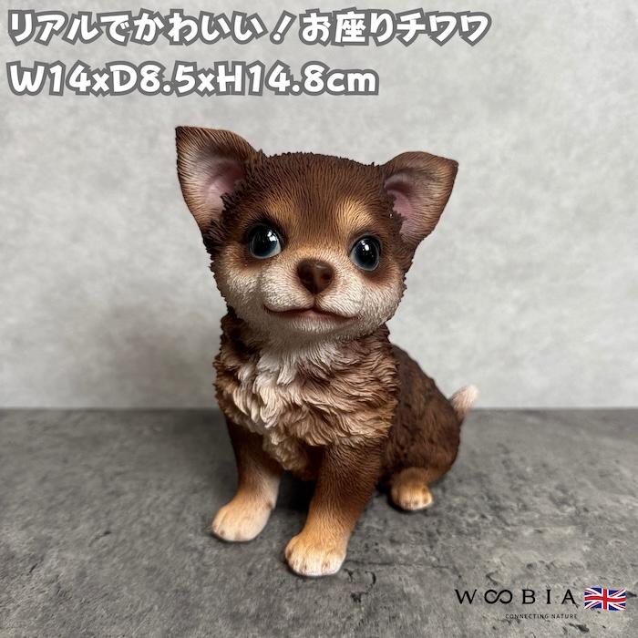 犬 置物 おしゃれ お座りチワワ ブラウン かわいい 動物 インテリア オブジェ ガーデンオーナメント woobia ウービア | 