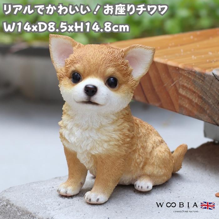 犬 置物 おしゃれ お座りチワワ レッド かわいい 動物 インテリア