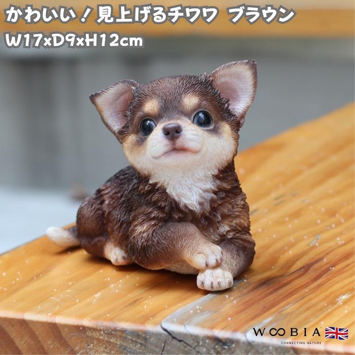 犬 置物 おしゃれ 見上げるチワワ ブラウン かわいい 動物 インテリア オブジェ ガーデンオーナメント woobia ウービア | 