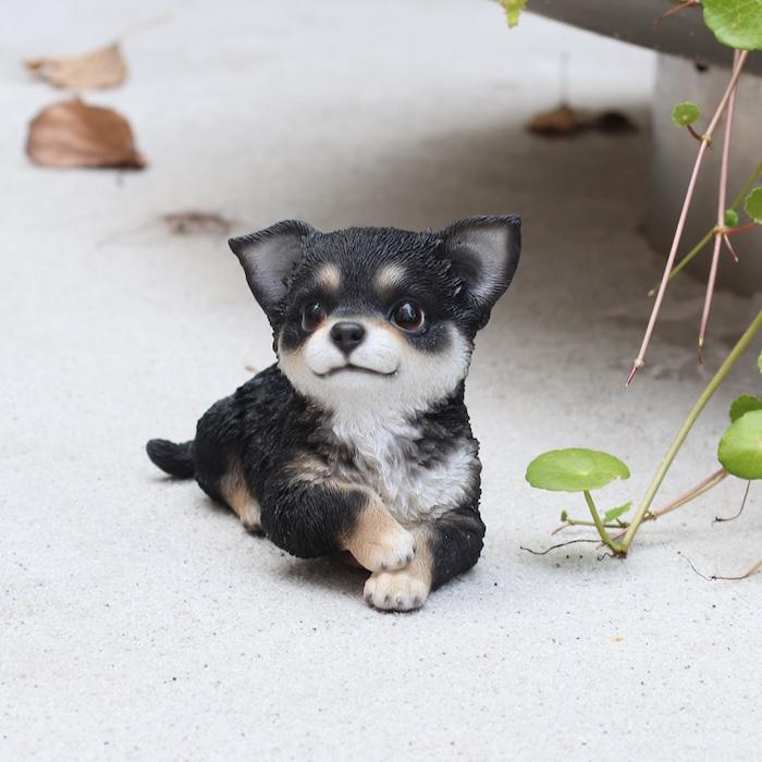 犬 置物 おしゃれ 見上げるチワワ ブラック かわいい 動物 インテリア オブジェ ガーデンオーナメント woobia ウービア |  | 08