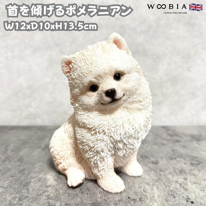 犬 置物 おしゃれ 首を傾げるポメラニアン かわいい 動物 インテリア オブジェ ガーデンオーナメント woobia ウービア | 