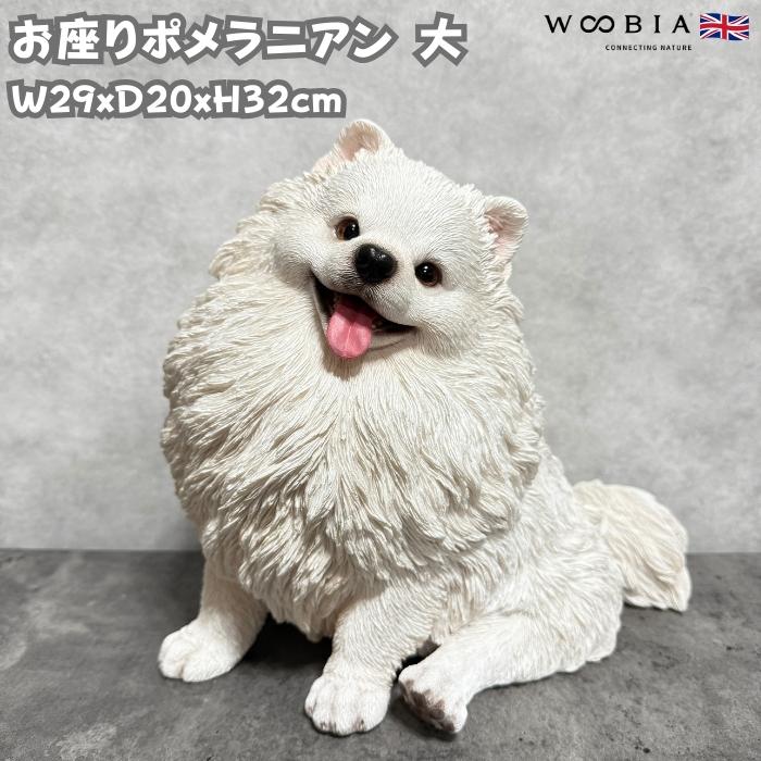 犬 置物 大型 動物 お座りポメラニアン 大 横幅30cm woobia おしゃれ 大きい 玄関 インテリア かわいい オブジェ | 