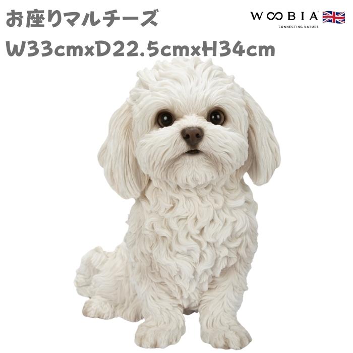 犬 置物 大型 動物 おすわりマルチーズ イヌ 高さ34cm woobia おしゃれ