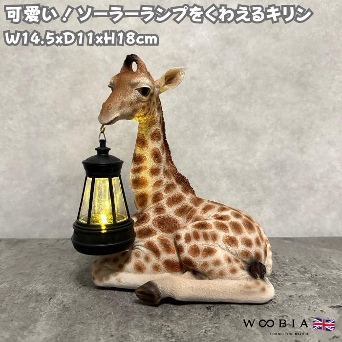 動物の置物 ソーラーランプを口でくわえるキリン 高さ18cm 縁起物 風水 woobia おしゃれ 玄関インテリア 庭 ガーデン かわいいオブジェ | 