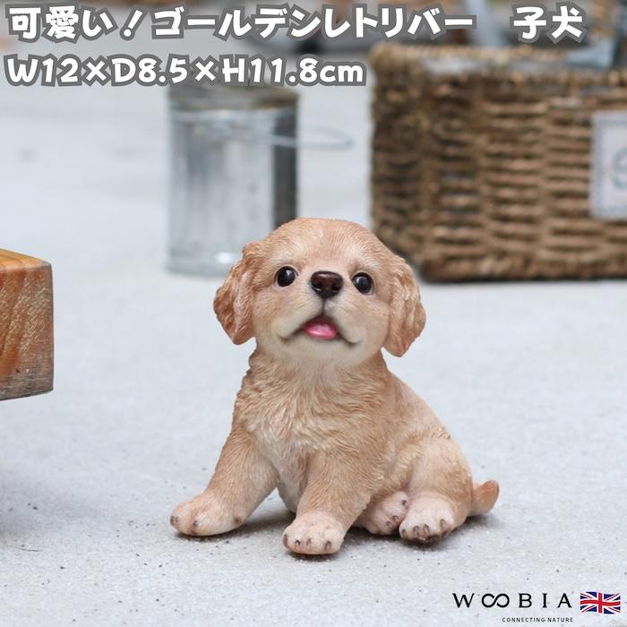 犬 置物 おしゃれ 高さ11.8cm 左向き座りゴールデンレトリバー子犬 クリーム 中 かわいい インテリア ガーデンオーナメント woobia ウービア | 