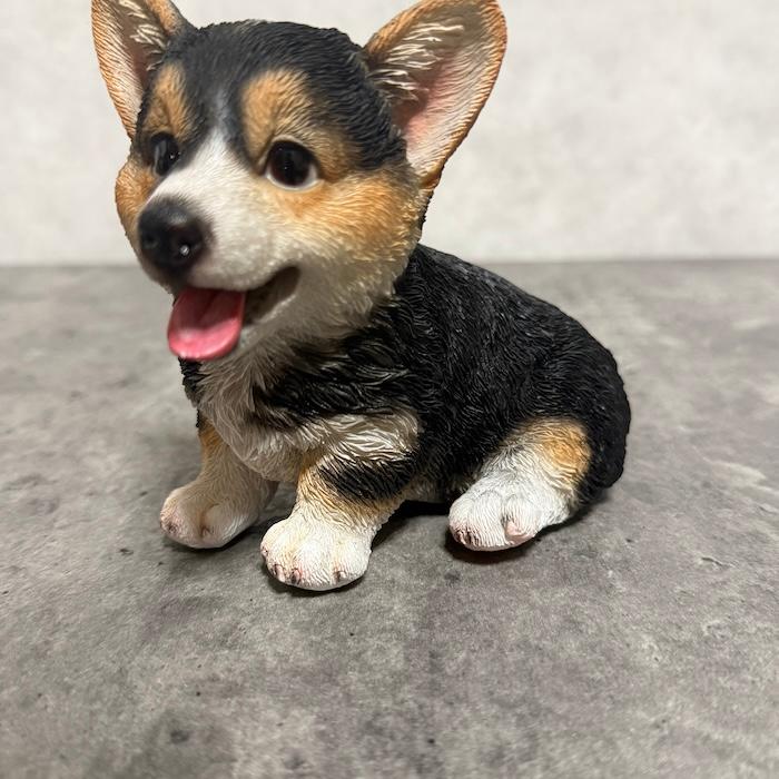 犬 置物 おしゃれ 左向き座りウェルシュコーギー黒 中 高さ11.5cm かわいい 動物 インテリア オブジェ ガーデンオーナメント woobia ウービア |  | 10