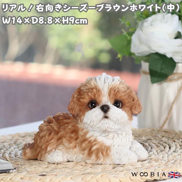 犬 置物 右向きシーズー ブラウンホワイト 中 横幅14cm WOOBIA リアル 可愛い おしゃれ オブジェ 卓上 インテリア 玄関 ギフト 動物 雑貨 癒し | 