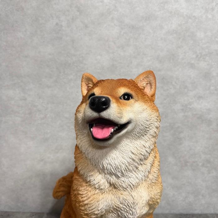 お座りにっこり柴犬 大 置物 高さ52.5cm WOOBIA 大型 リアル おしゃれ インテリア オブジェ ガーデンオーナメント 玄関 庭 犬 ギフト | WOOBIA | 14