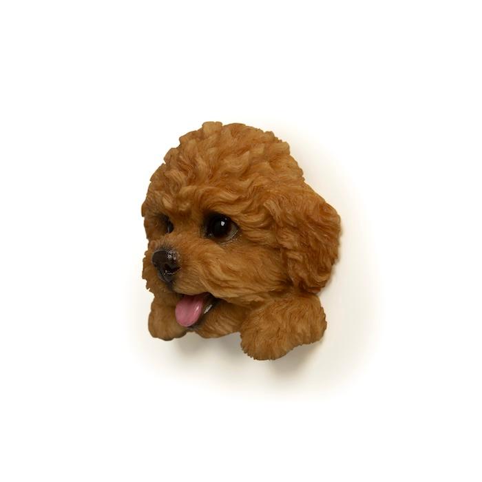 WOOBIA フェイスマグネット トイプードル レッド 犬 冷蔵庫 マグネット かわいい 立体 リアル プードル 動物 雑貨 玄関 ギフト 幅6.2cm | WOOBIA | 03