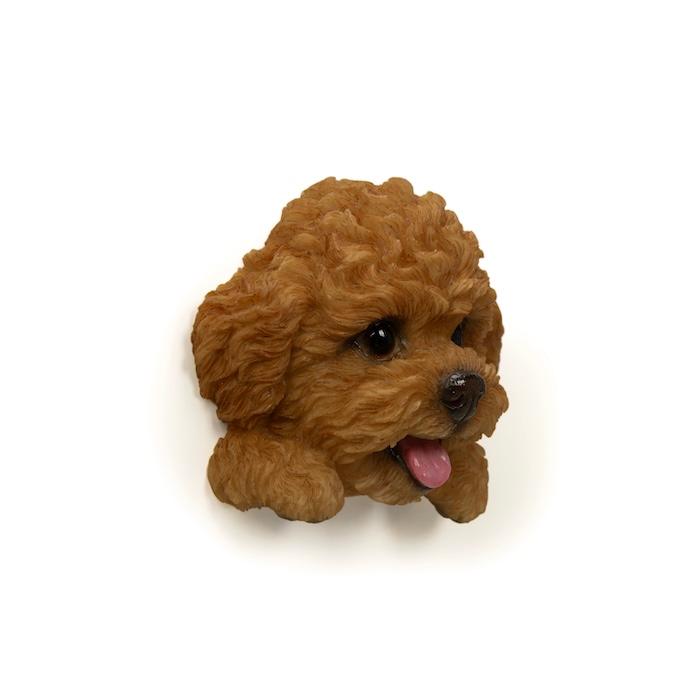 WOOBIA フェイスマグネット トイプードル レッド 犬 冷蔵庫 マグネット かわいい 立体 リアル プードル 動物 雑貨 玄関 ギフト 幅6.2cm | WOOBIA | 05