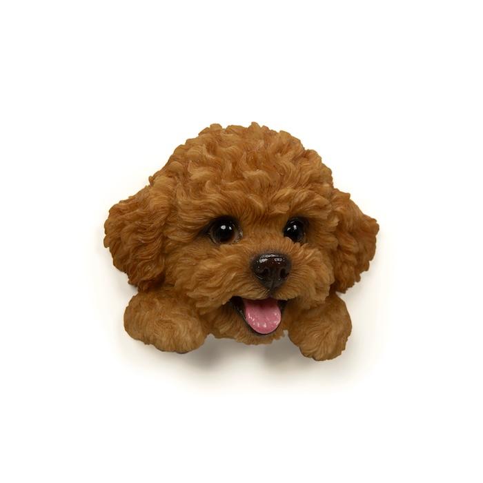 WOOBIA フェイスマグネット トイプードル レッド 犬 冷蔵庫 マグネット かわいい 立体 リアル プードル 動物 雑貨 玄関 ギフト 幅6.2cm | WOOBIA | 06