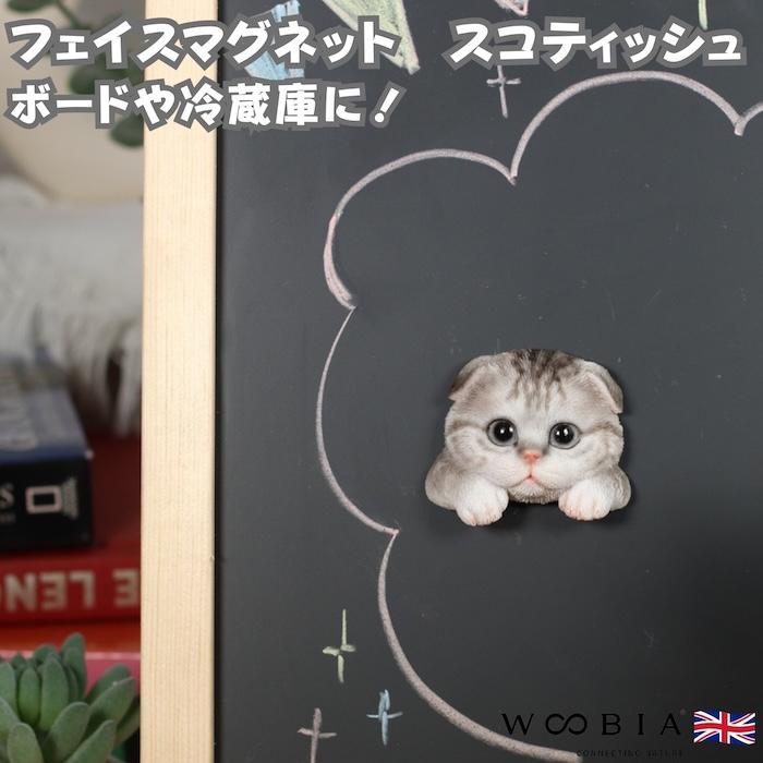 WOOBIA フェイスマグネット スコティッシュフォールド グレー 猫 冷蔵庫 マグネット かわいい 立体 リアル スコ 折れ耳 子猫 幅5.5cm | WOOBIA