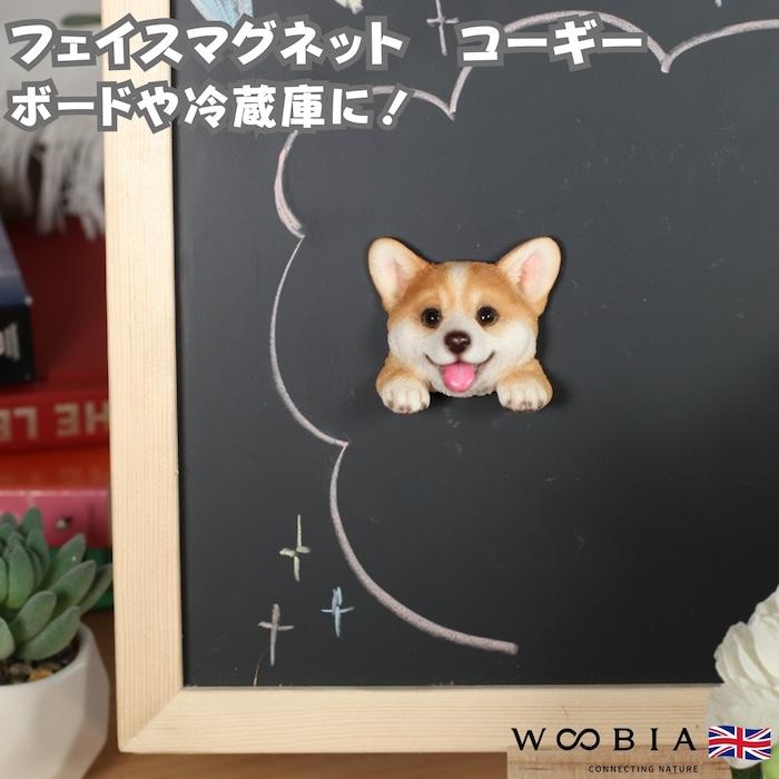 WOOBIA フェイスマグネット コーギー レッド 犬 冷蔵庫 マグネット かわいい 立体 リアル ウェルシュコーギー 子犬 愛犬 動物 幅5.7cm | WOOBIA