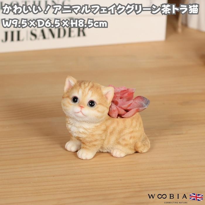 WOOBIA（ウービア） 置物 猫 玄関 インテリア 卓上 茶トラ猫 アニマル