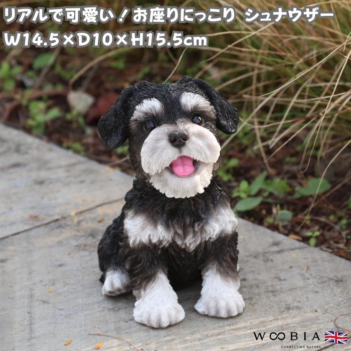 WOOBIA（ウービア） 犬 置物 お座りにっこりシュナウザー 高さ15.5cm