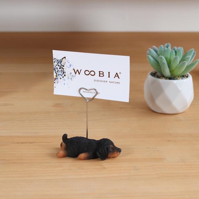 メモスタンド 犬 ダックスフンド ブラック 高さ8cm かわいいメモクリップ 置物インテリア メモホルダー カード woobia ウービア |  | 06