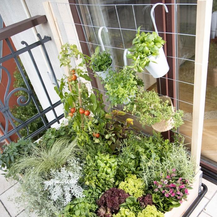 ガーデンボックスW1200専用 トレリスセット garden boxes 花壇 プランター 家庭菜園 野菜 |  | 15