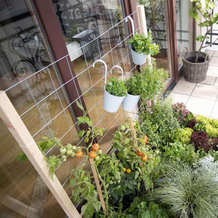 ガーデンボックスW1200専用 トレリスセット garden boxes 花壇 プランター 家庭菜園 野菜 |  | 04