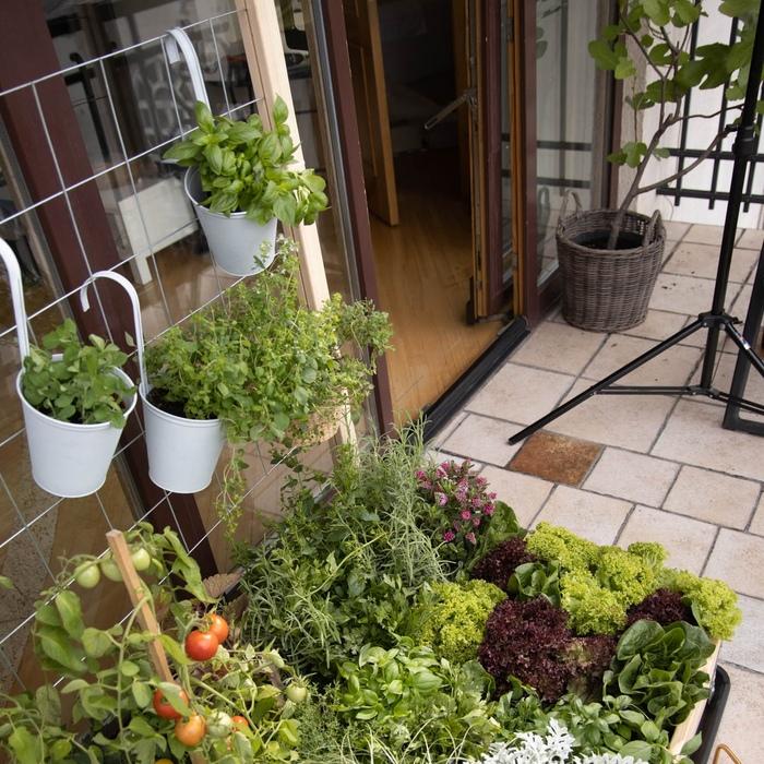 ガーデンボックスW1200専用 トレリスセット garden boxes 花壇 プランター 家庭菜園 野菜 |  | 06