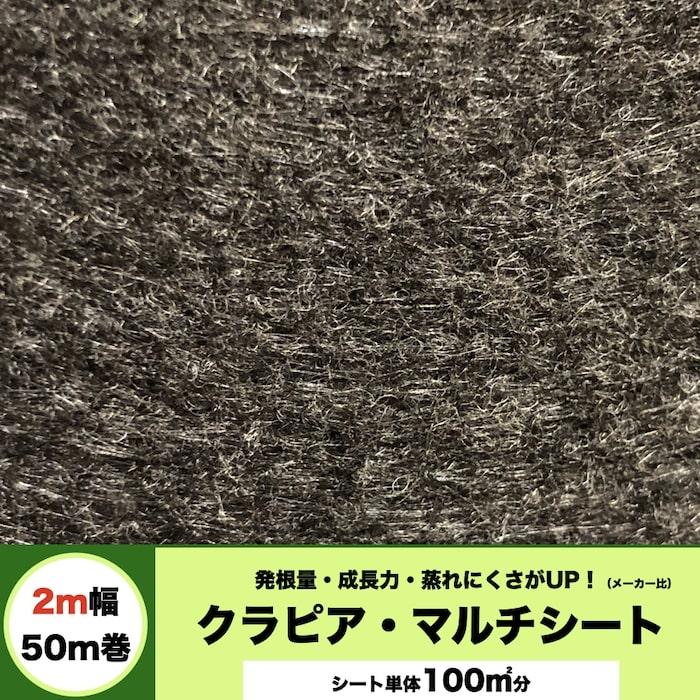 マルチシート クラピア用 （100m2） 2m幅50m巻 吸水性 透水性アップ