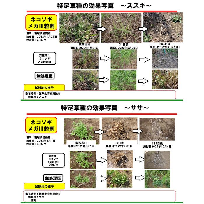 効果６か月！ネコソギメガ　超強力除草 除草剤 顆粒 強力 ネコソギメガ3粒剤 7kg 1400m2 最長6ヶ月 W効果 根
