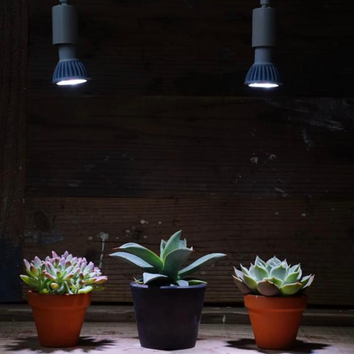 植物育成ライト 2個セット LED PlantsNEXLIGHT NL-PAR16-WC50/S 小型