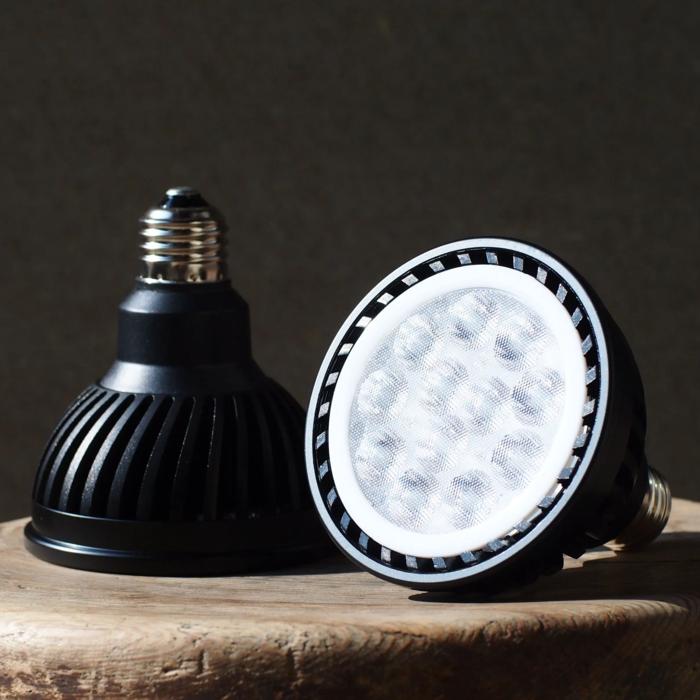 観葉植物 専用育成ライト PlantsNEXLIGHT LED照明 多肉植物 室内