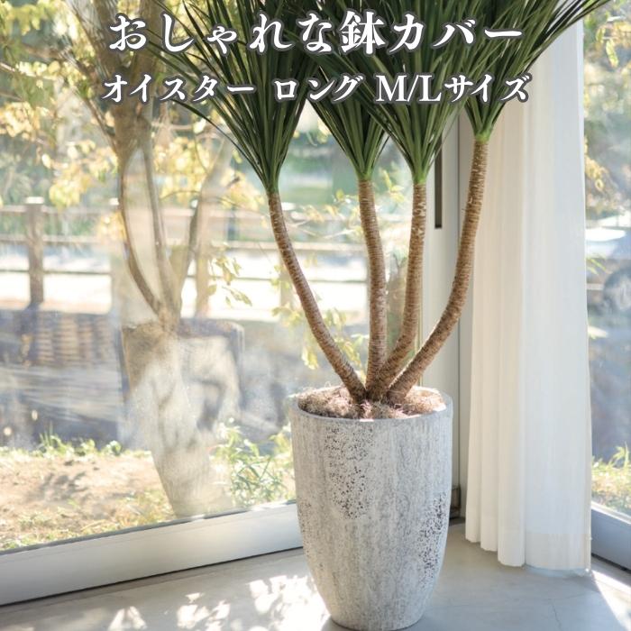 KONTON 鉢カバー おしゃれ 大型 オイスター ロング 17号 13号