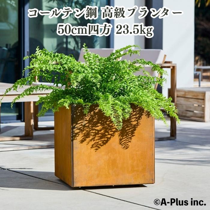 A-PLUS Patina コールテン鋼 高級植木鉢 おしゃれ 大型 スクエア 50cm