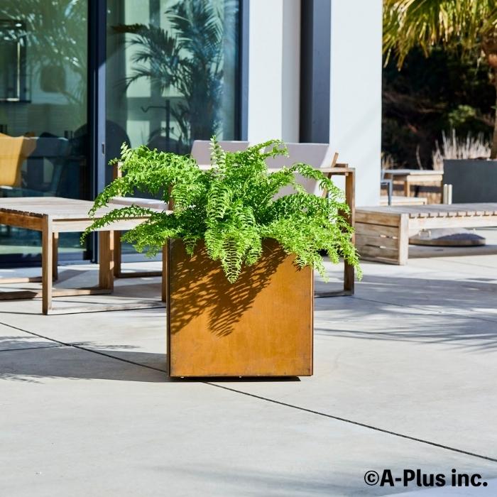 A-PLUS Patina コールテン鋼 高級植木鉢 おしゃれ 大型 スクエア 50cm
