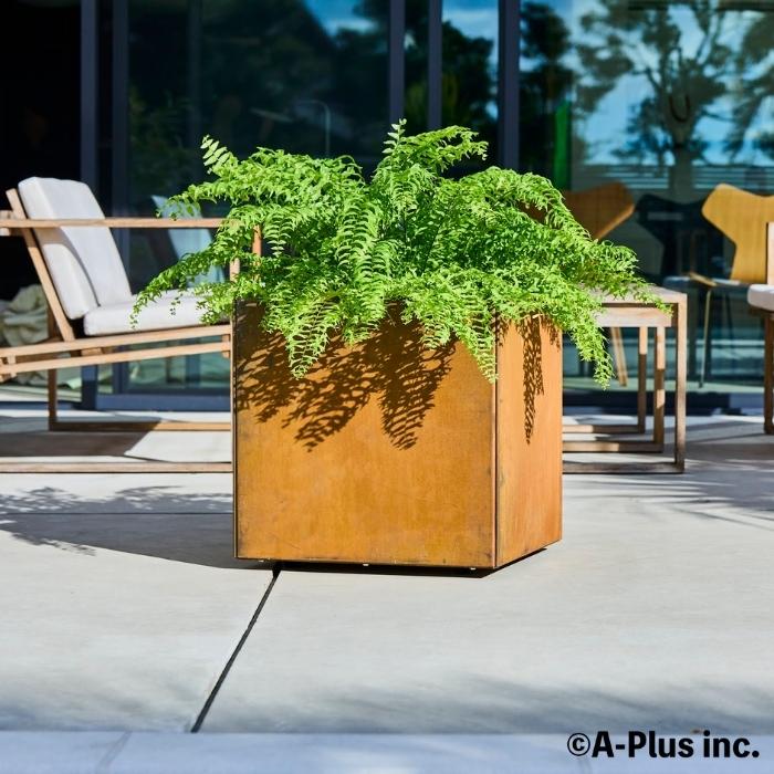 A-PLUS Patina コールテン鋼 高級植木鉢 おしゃれ 大型 スクエア 50cm