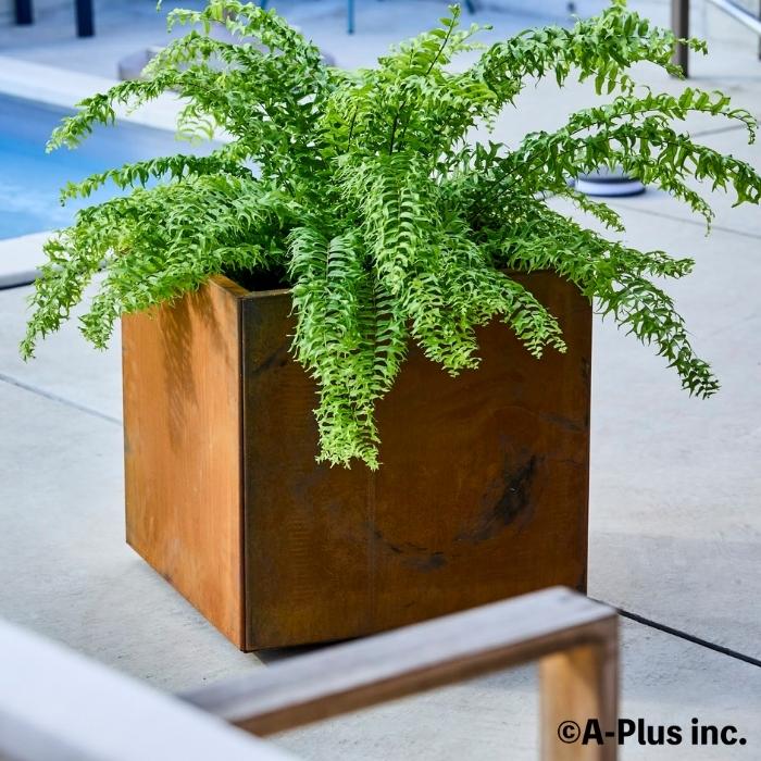 A-PLUS Patina コールテン鋼 高級植木鉢 おしゃれ 大型 スクエア 50cm