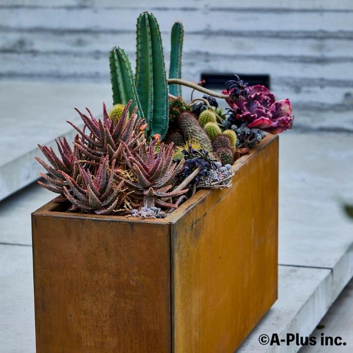 9/27出品分 4号 6点セット 作家鉢 楽天市場】六角形 植木鉢 多肉植物鉢 陶器鉢 サボテン鉢 観葉