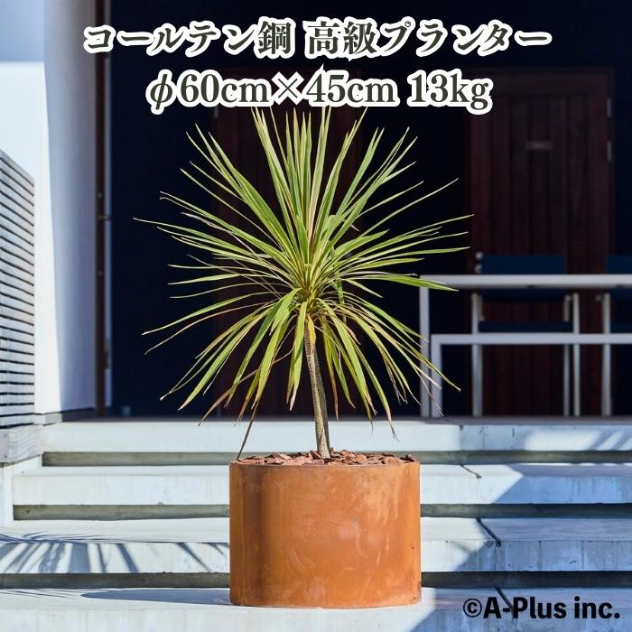 A-PLUS Patina コールテン鋼 植木鉢 直径60cm H450mm 1.5mm 経年変化