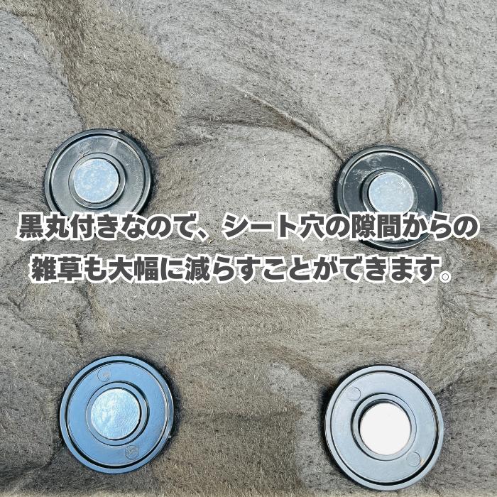 楽りゃく釘 15cm 10P×200袋 2000本 防草シート 人工芝 押さえ釘 黒丸付き 特殊釘 雑草対策 固定ピン アンカーピンの画像