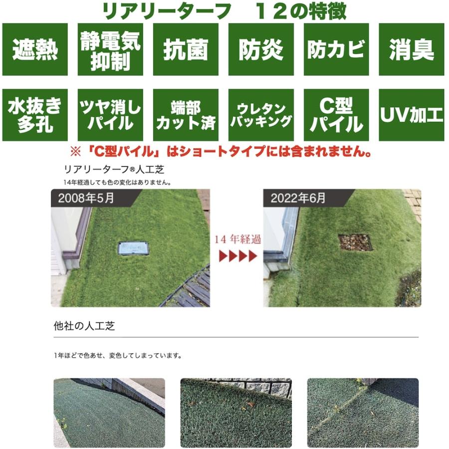 高級人工芝 リアリーターフ ミドルプラス パイル25mm 1m×10m