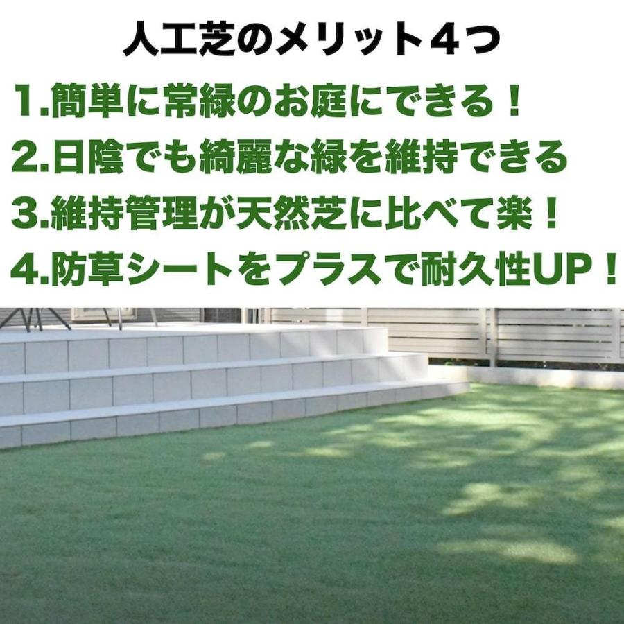 高級人工芝 リアリーターフ ミドルプラス パイル25mm 1m×10m