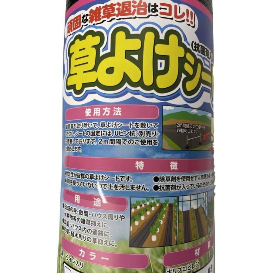 防草シート 2m×100m 1本 耐久年数2年から3年 草よけシート 抗菌剤 UV剤