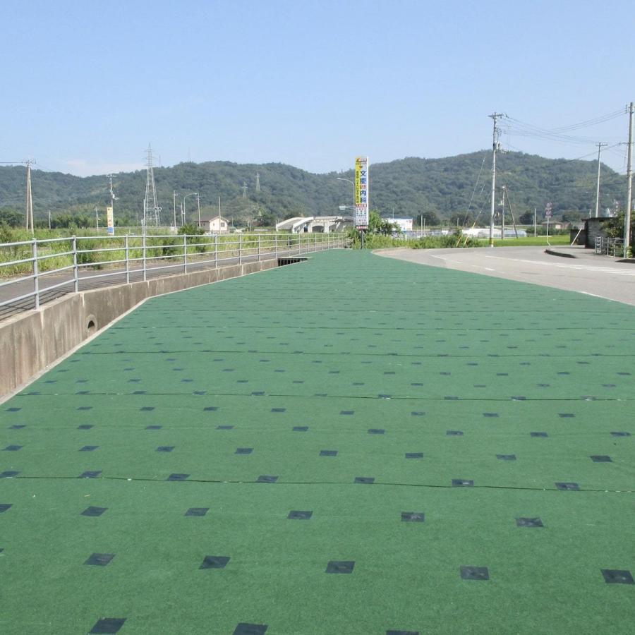 高耐久 超厚手強力防草シート 2m×20m 厚み3mm ストロングマット