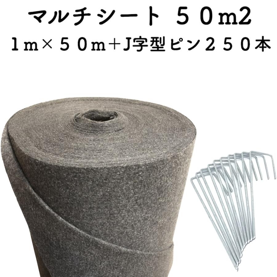 50平米分セット マルチシート クラピア用 （50m2） ＋ J字型ピン（250